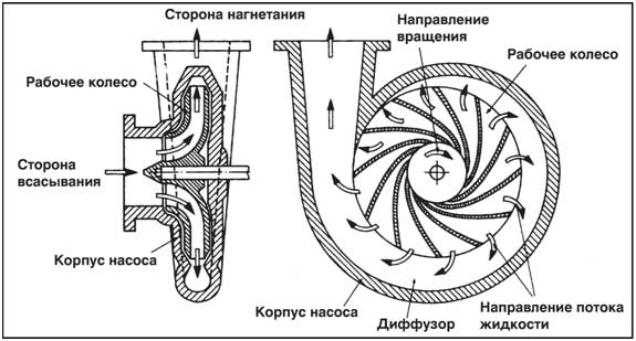 Схема центробежного насоса Схема центробежного насоса